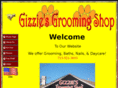 gizzies.net