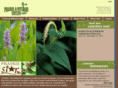 critsite.com