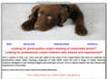 localcarpetcleanersmelbourne.com