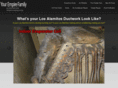 losalamitosairducts.com