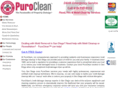 moldcleanupsandiego.com