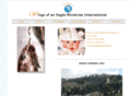 thewemi.org