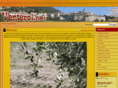 venterol.net
