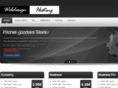 zandsdesign.ro