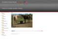 southerncrossranch.net