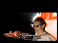 sunzappers.com
