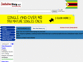 zimbabwediary.info