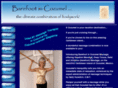 barefootincozumel.com