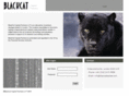 blackcatcapital.com