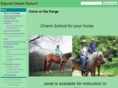 equinecharmschool.com