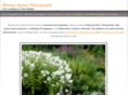 mirenziphotos.com