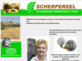 scherpereel-vulcanisation.com