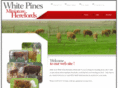 whitepinesminiherefords.com