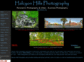 halcyonhillsfoto.com