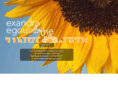 alexandraandthesunflowers.com