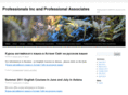 professionalsinc.org