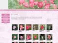 puspanjali-nursery.com
