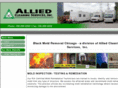 blackmoldremovalchicago.com