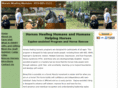 horseshealinghumans.com