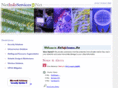 netinfoservices.net