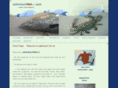 sallenbachfishart.com