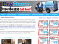 thedrysteam.com