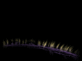 biovisioning.com
