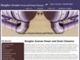 burgheravenueseweranddraincleaners.info