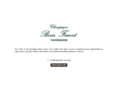 champagne-boris-fauvet.com