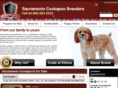 sacramentocockapoobreeders.com