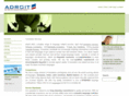 adroittranslations.com