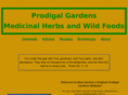 rosesprodigalgarden.org