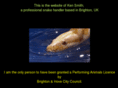 snakehandler.co.uk