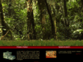 valpaintjungle.com