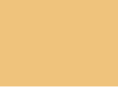 anavenegas.com