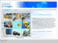 aquamarinepoolservice.com