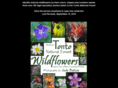 azwildflowers.net