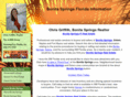 bonitaspringsagent.com