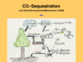 co2senke.ch