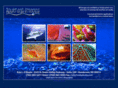 liquidartimages.com