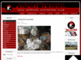 thewarriornation.com