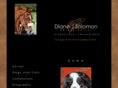 djsolomonartist.com