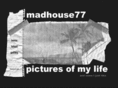 madhouse77.co.uk