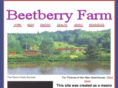 beetberry.com