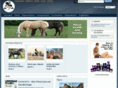 chevalint.com