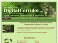 digitalcorridor.com