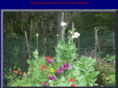 pollypoppyseed.com