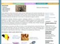 strasbourg-online.fr
