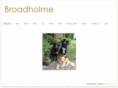 broadholme.com