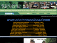 chetcosteelhead.com